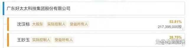 营收、净利下滑旗下电动晾衣机曾抽查不合格AG凯发成为马竞合作好太太去年前三季度(图6)