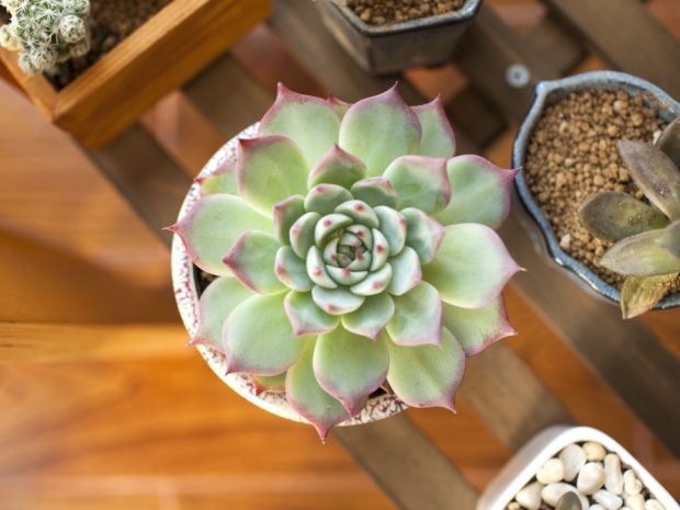 4种主流方案优缺点解析阳台安装什么晾衣架