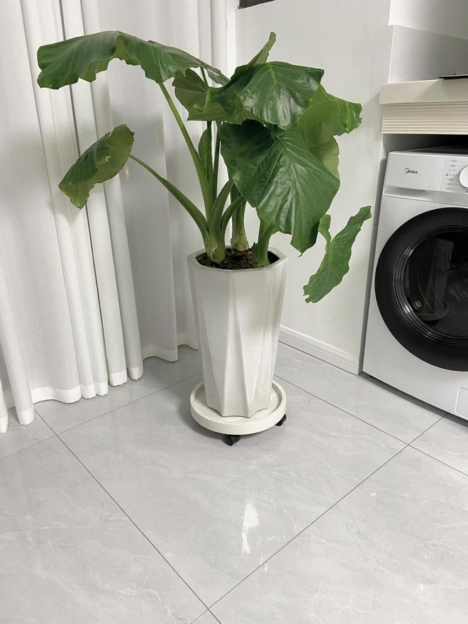 ！几块钱的小东西竟能让生活开挂被老妈买的“便宜货”惊艳到了(图13)